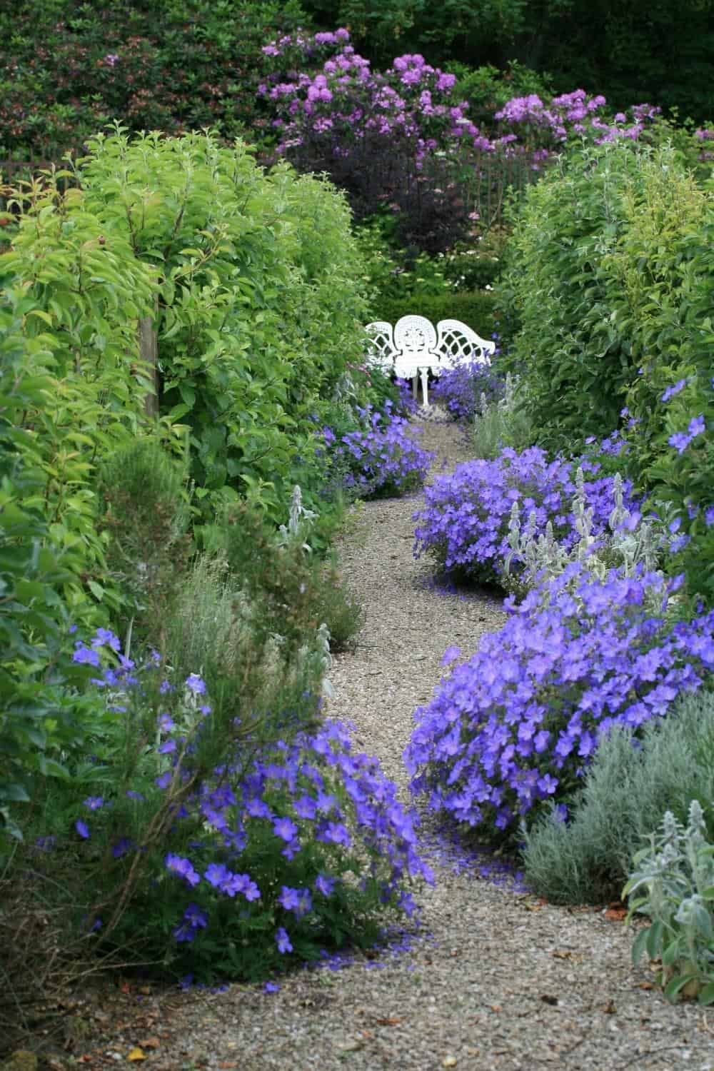 pea gravel garden path through lush garden with bench at the end