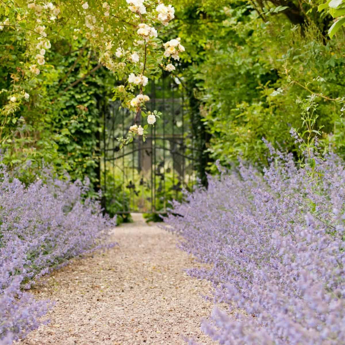 pea gravel pathway