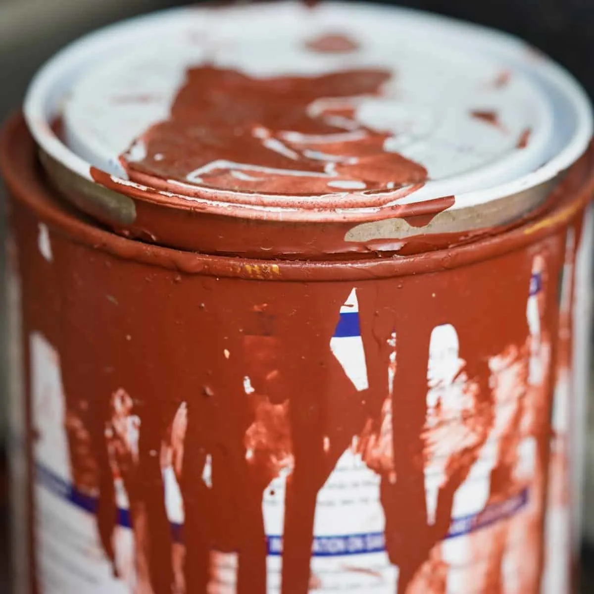 How to Store Leftover Paint - The Handyman's Daughter