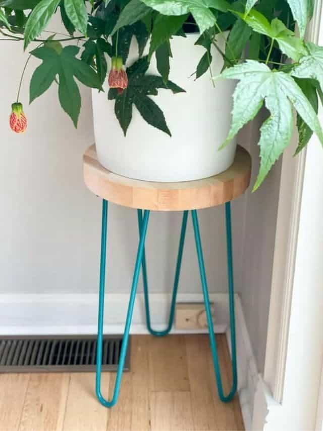 DIY PLANT STAND WITH HAIRPIN LEGS