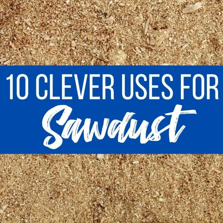 10 clever uses for sawdust