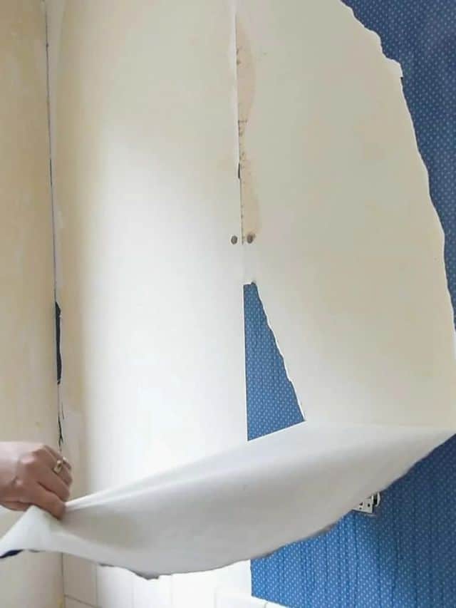 HOW TO REMOVE WALLPAPER The Handyman's Daughter