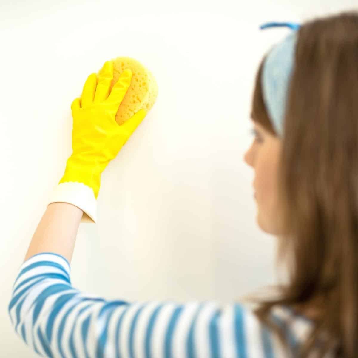 wiping down walls with a sponge and water after removing wallpaper