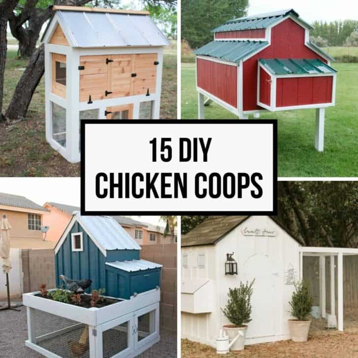 image collage of four chicken coops with text overlay "15 DIY Chicken Coops