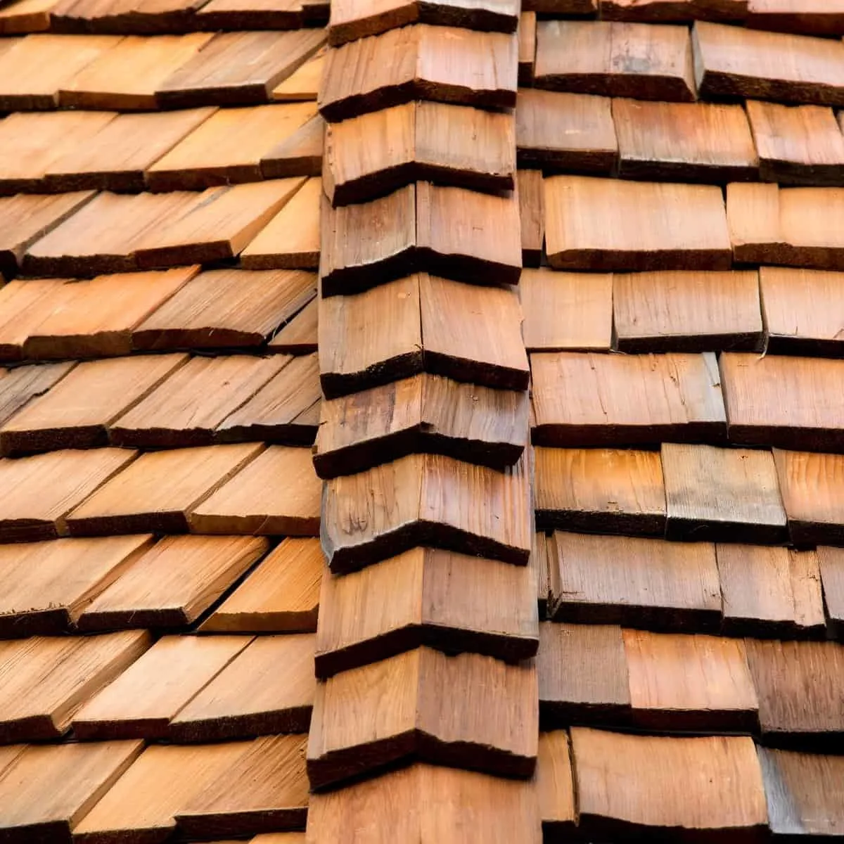 cedar shake roof