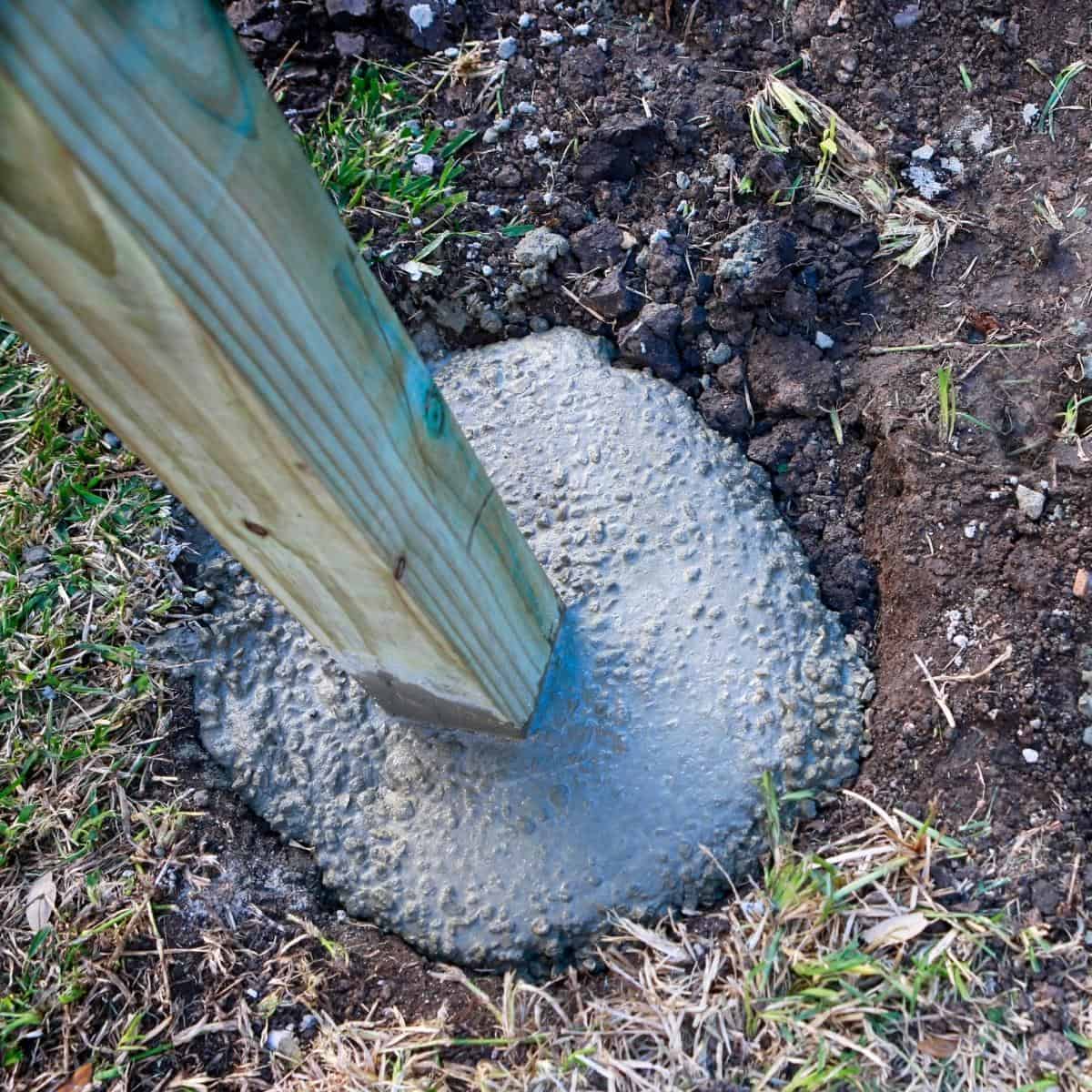 pressure treated post set in wet concrete