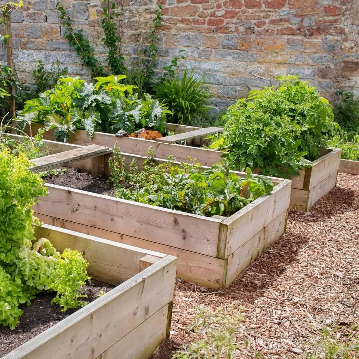 raised garden beds made of cedar