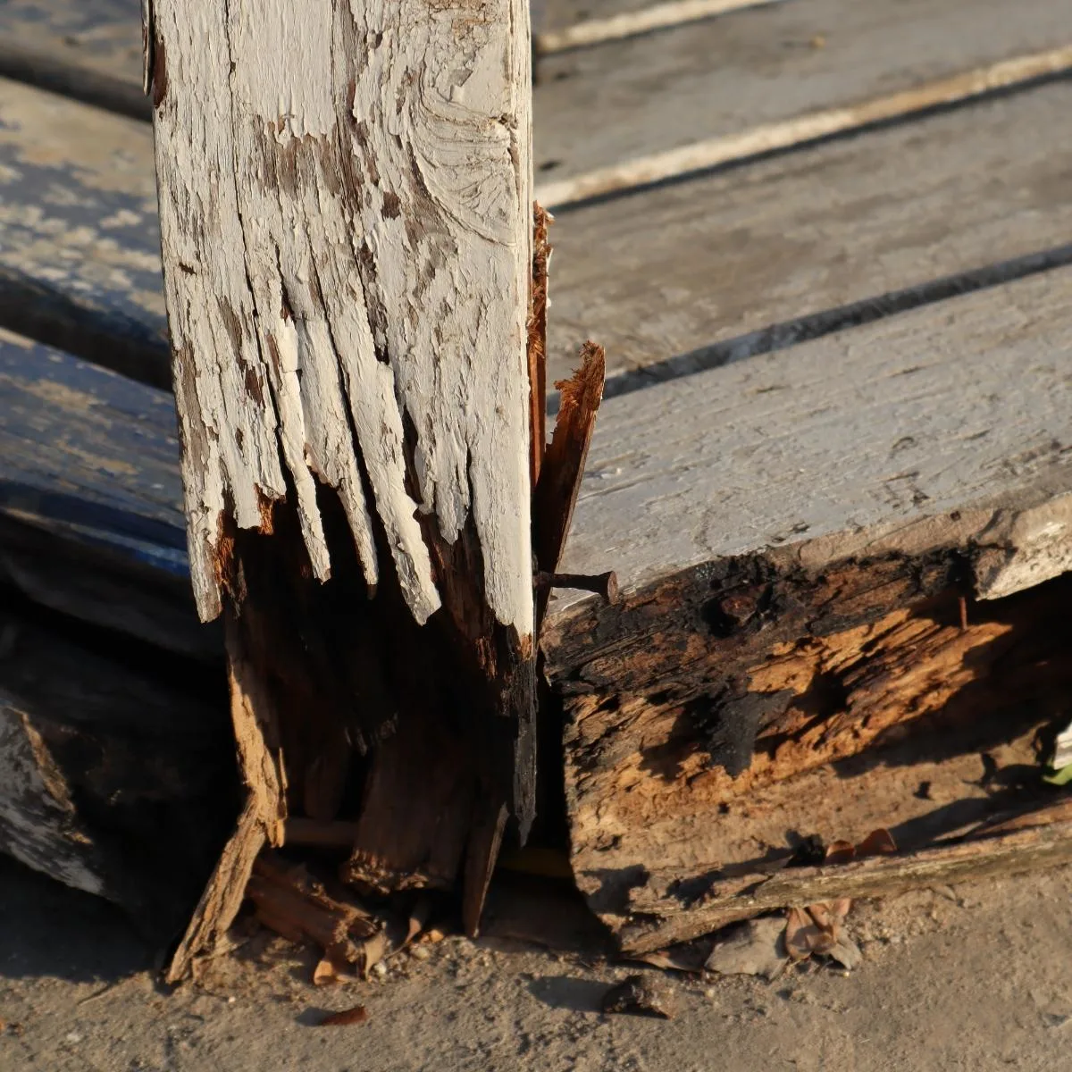 rotted wooden deck