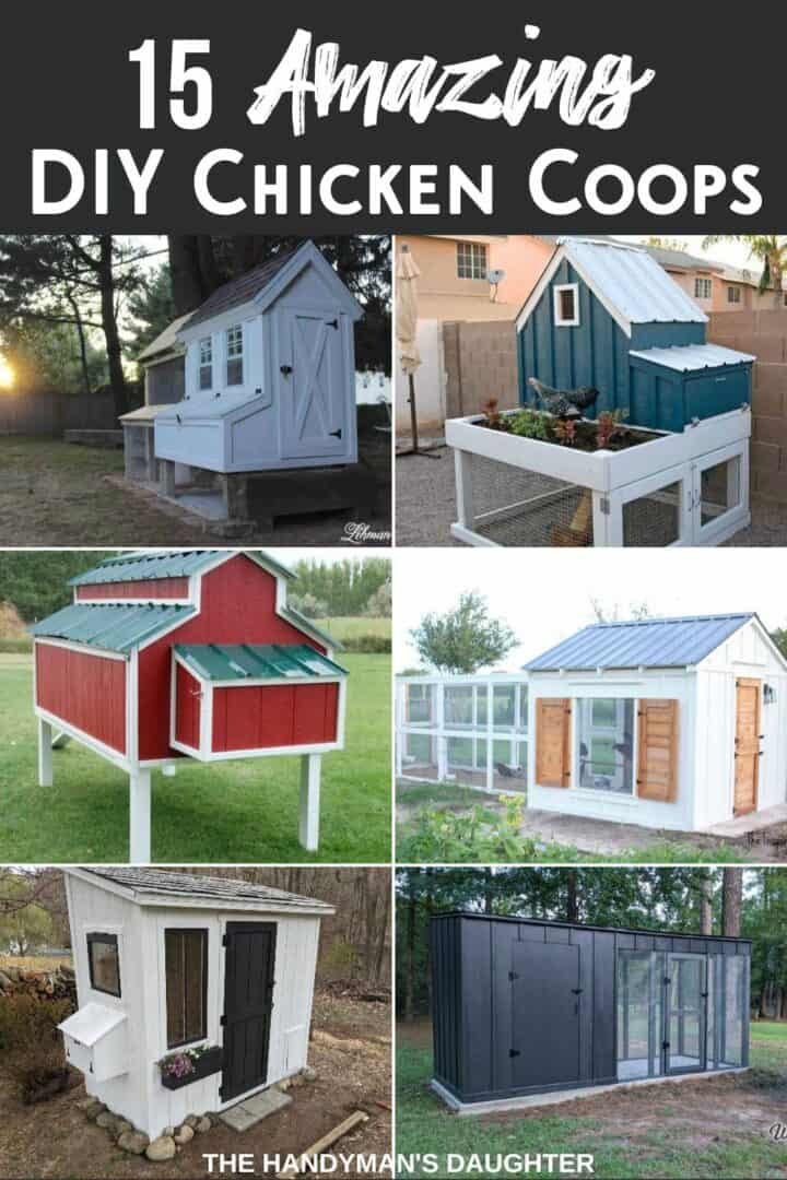 15 DIY Chicken Coop Ideas for Your Backyard Flock The Handyman's Daughter