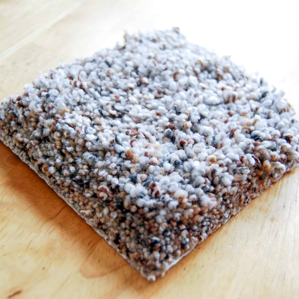 carpet sample on hardwood floor