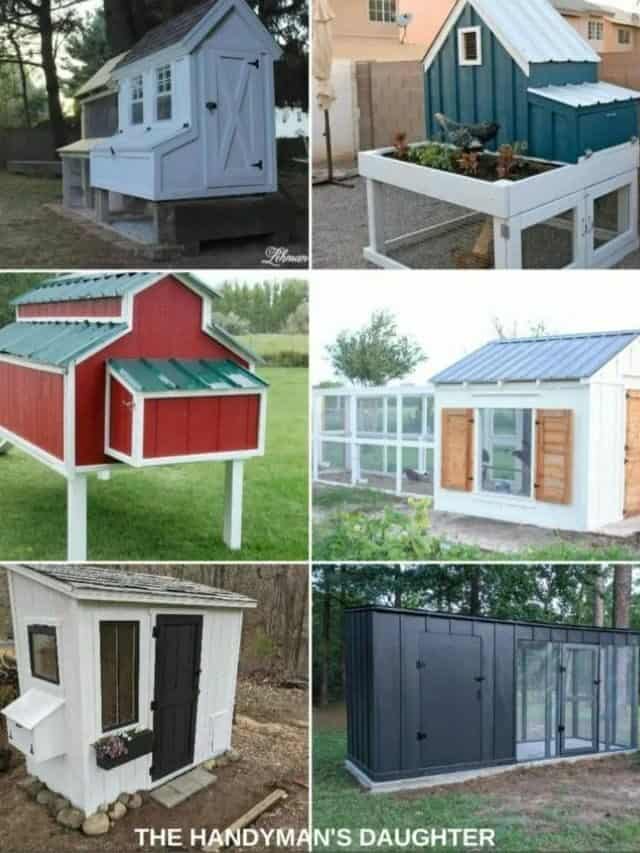 DIY CHICKEN COOP IDEAS