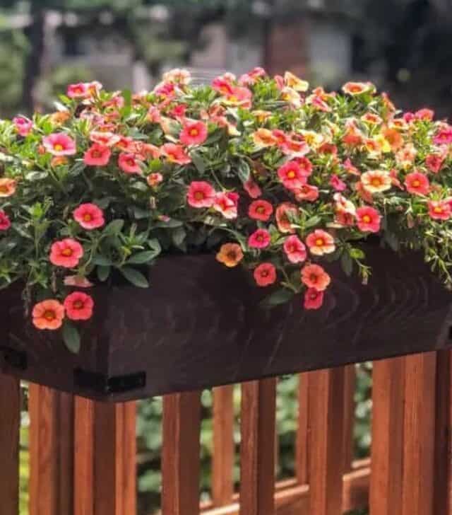 deck rail planter box