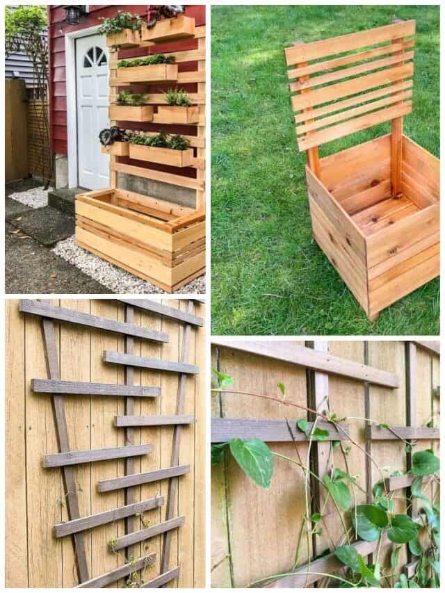 20 DIY ARBOR & TRELLIS IDEAS