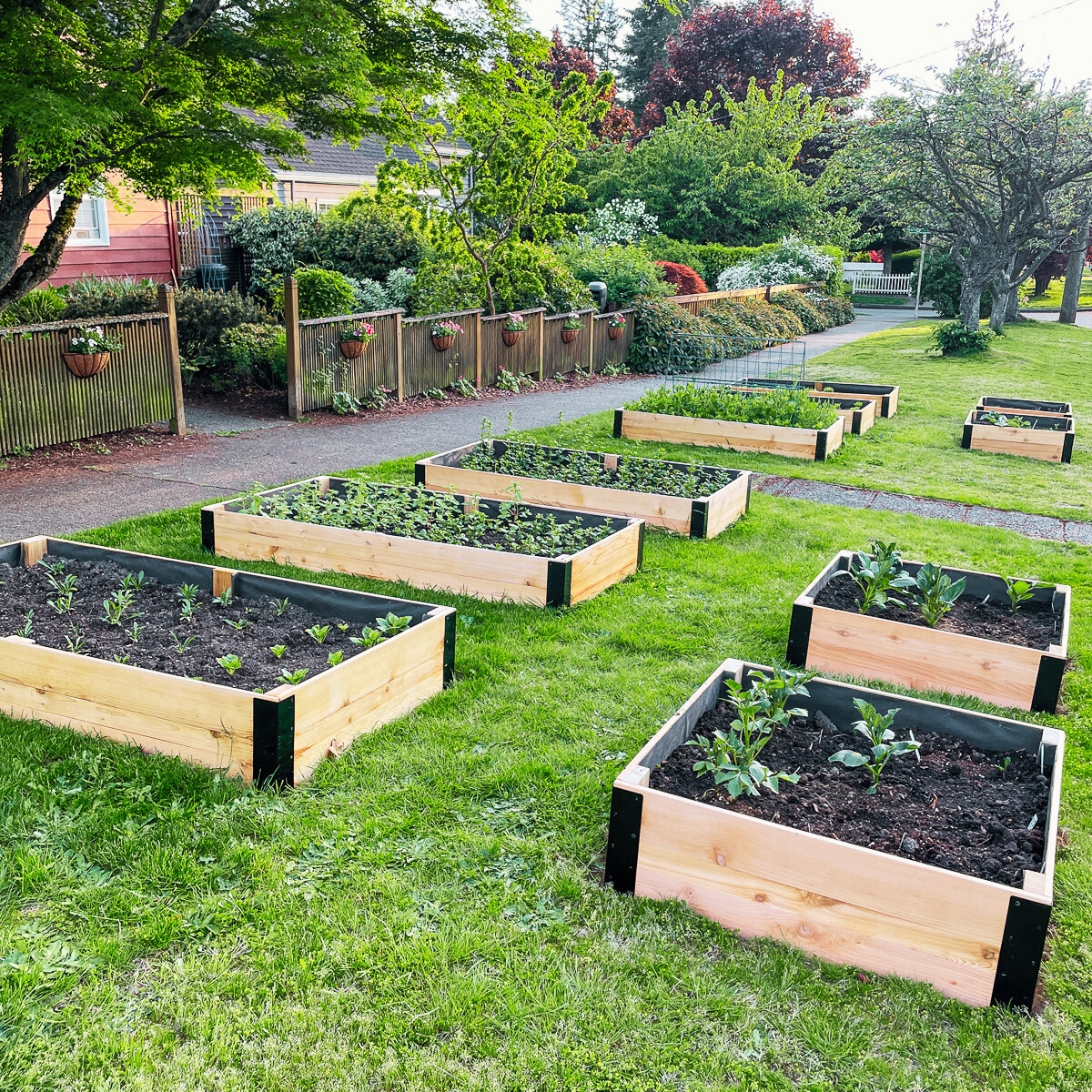 How to Create an Easy, Fast and Economical Raised Garden Bed