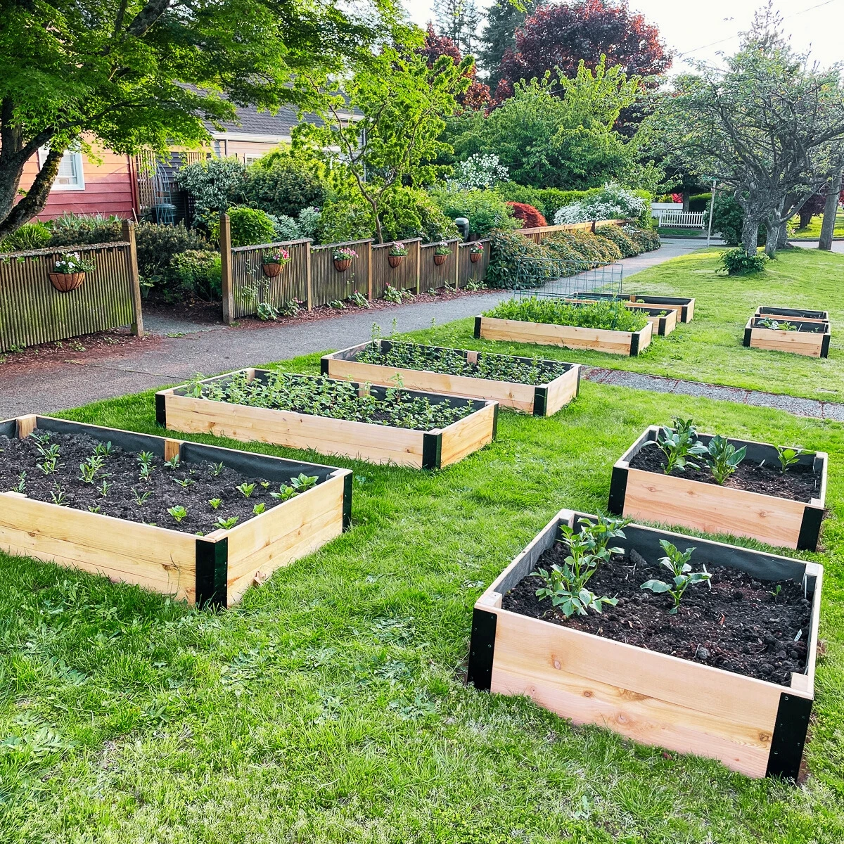 10 DIY raised garden beds in grass