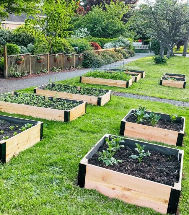 10 DIY raised garden beds in grass