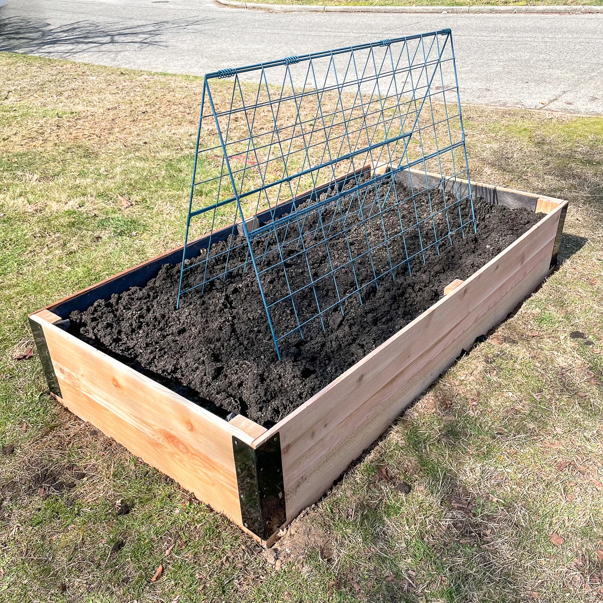 DIY raised garden bed filled with soil with an A frame trellis in the middle