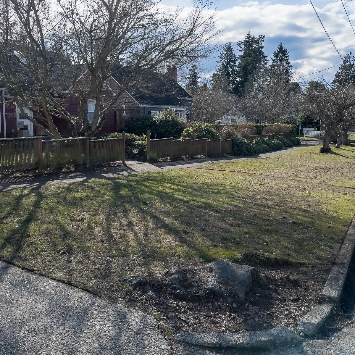 grassy area in parking strip in front of our house