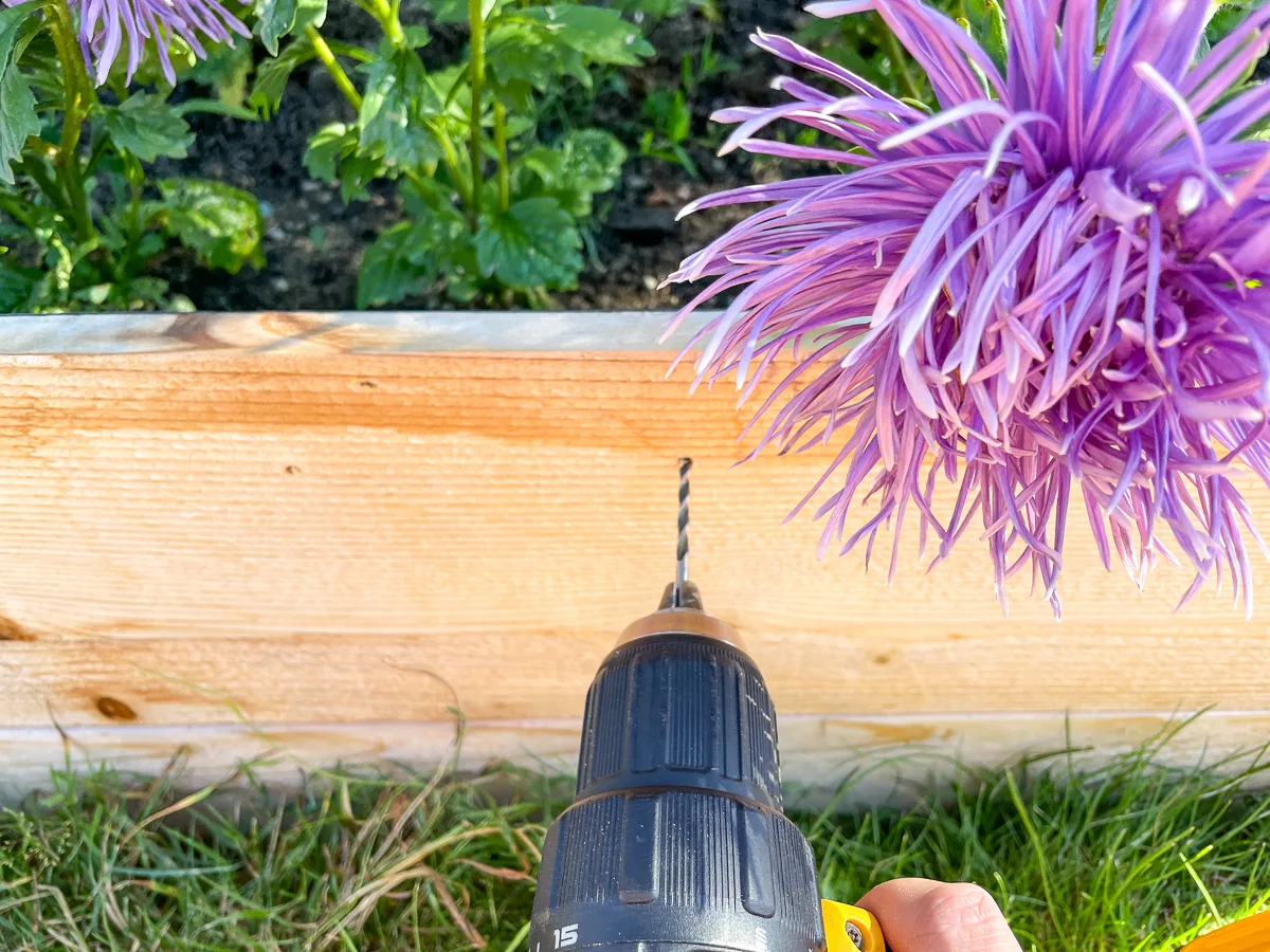 drilling pilot holes for garden label hooks