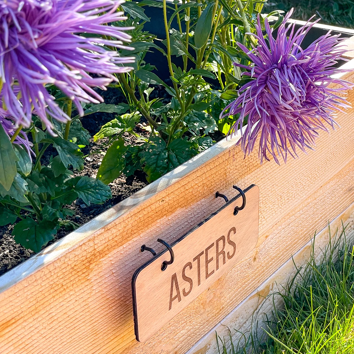 DIY garden labels for raised beds