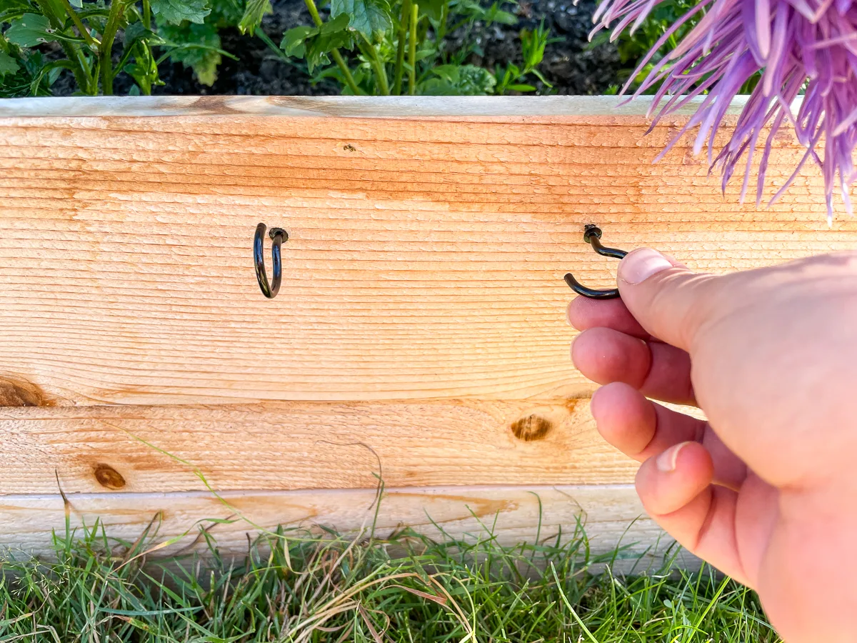 screwing in hooks for garden labels on raised bed