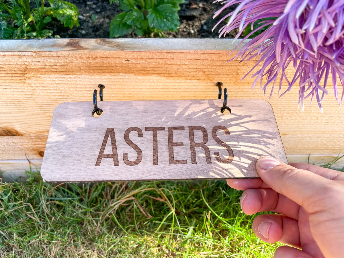 placing garden label sign on hooks on raised bed