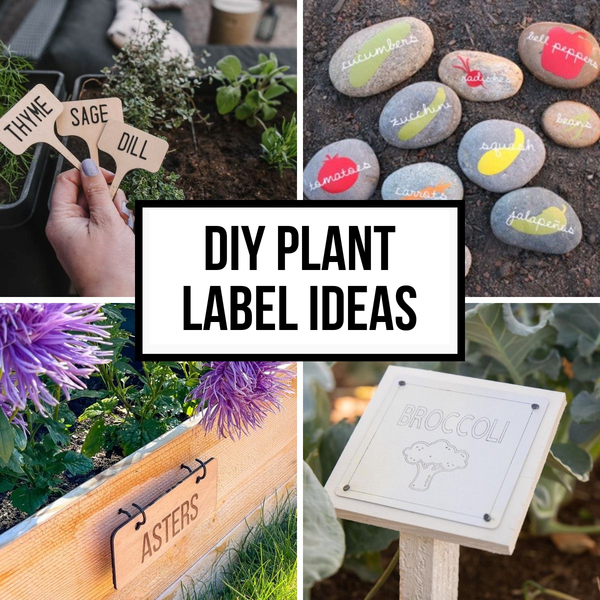 DIY plant label ideas with collage