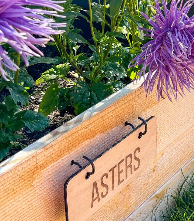 DIY garden labels for raised beds