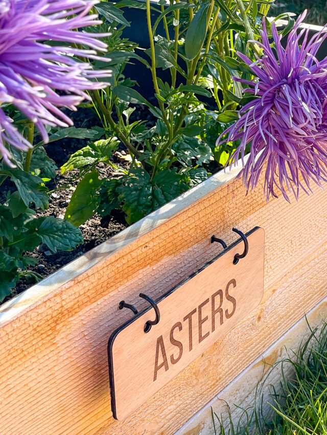 DIY GARDEN LABELS FOR RAISED GARDEN BEDS