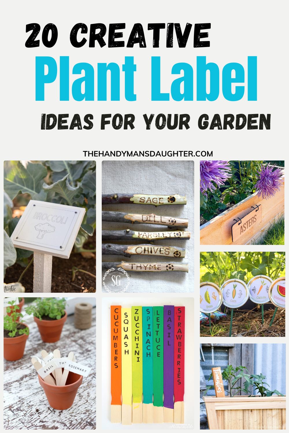 20 creative plant label ideas for your garden