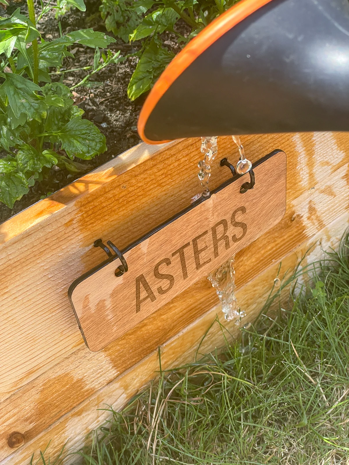 DIY garden label getting wet from watering can