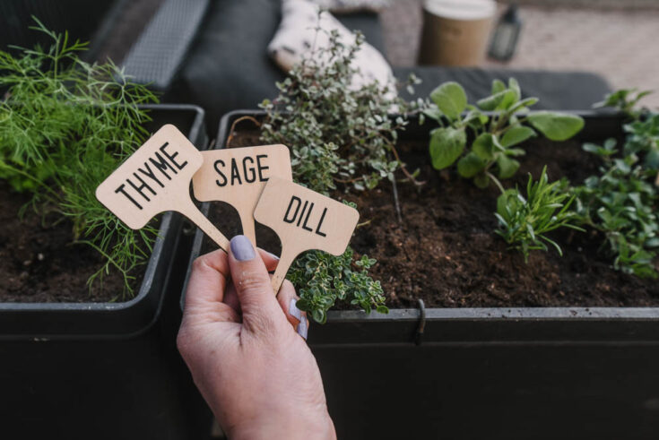 DIY Cricut Storage + Caddy - Lemon Thistle