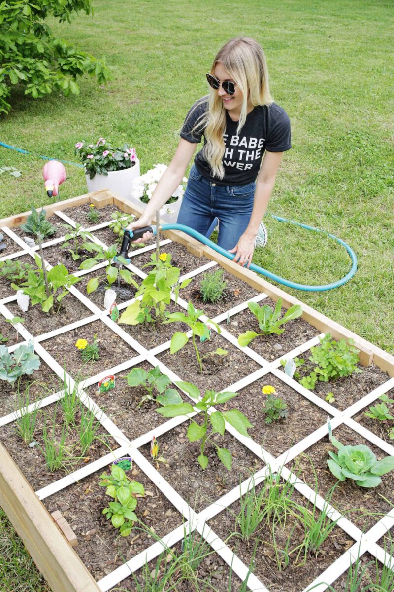 17 Inexpensive Raised Garden Bed Ideas - The Handyman's Daughter