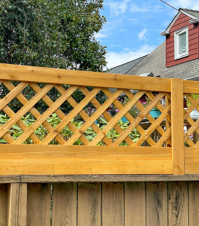 fence top trellis