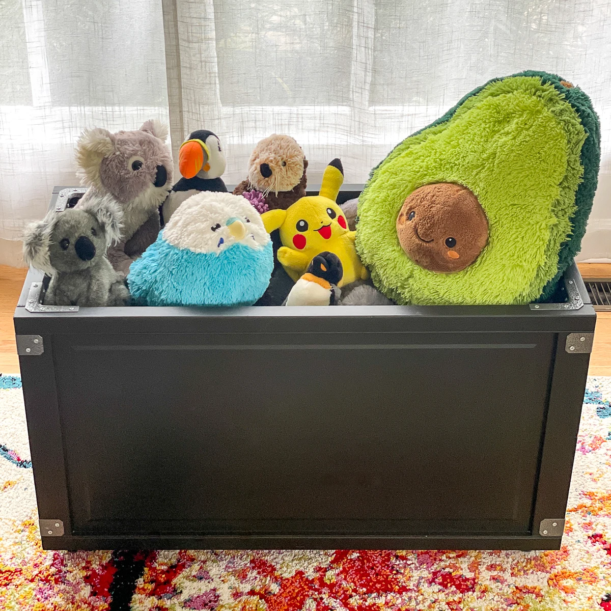 DIY toy box in front of window