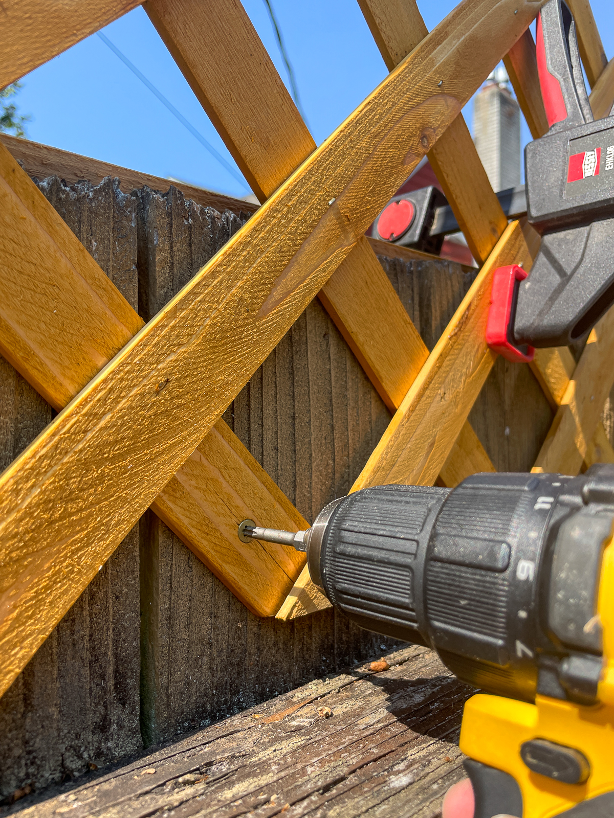 attaching lattice trellis to top of fence