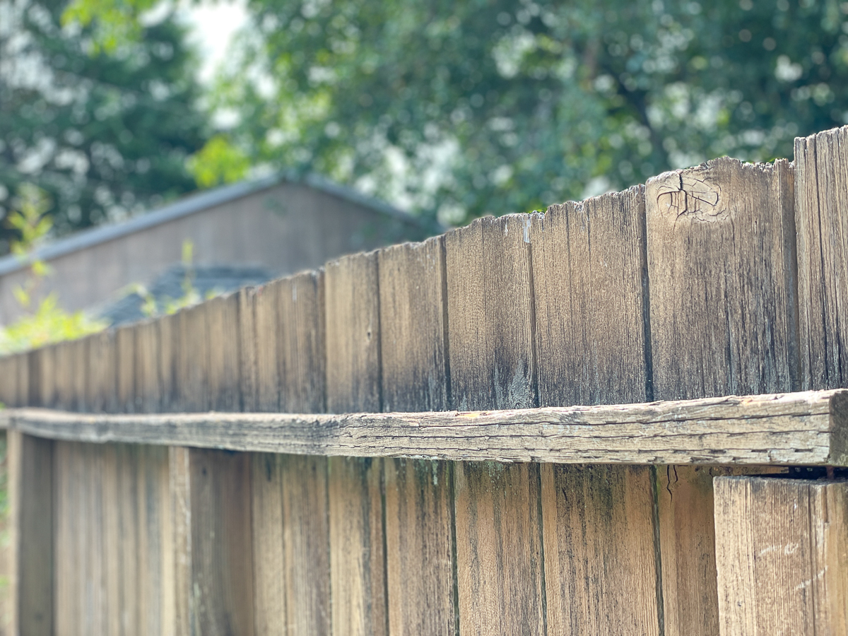 back view of fence with worn top edge