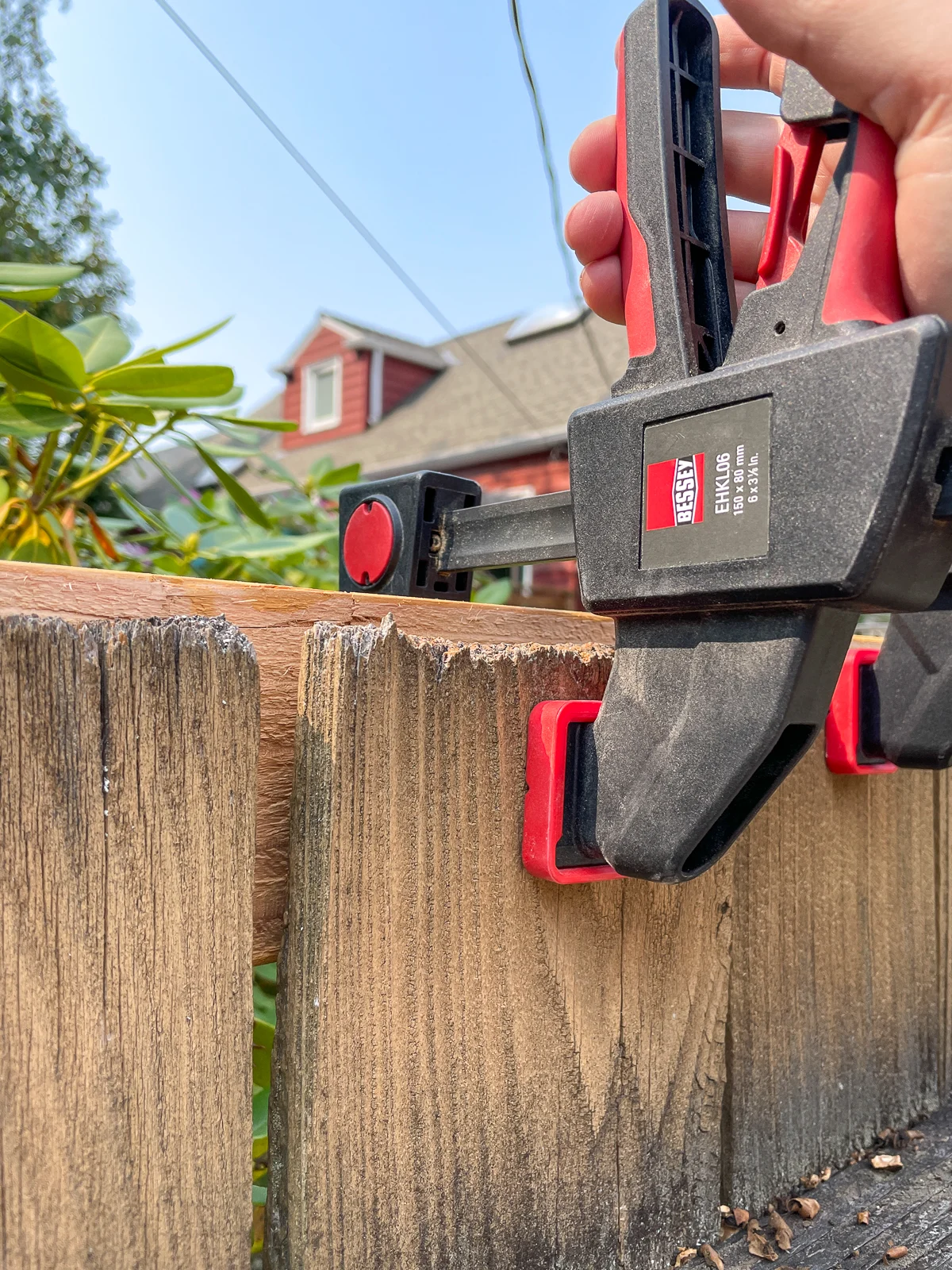 using a clamp to straighten out the top of the fence pickets