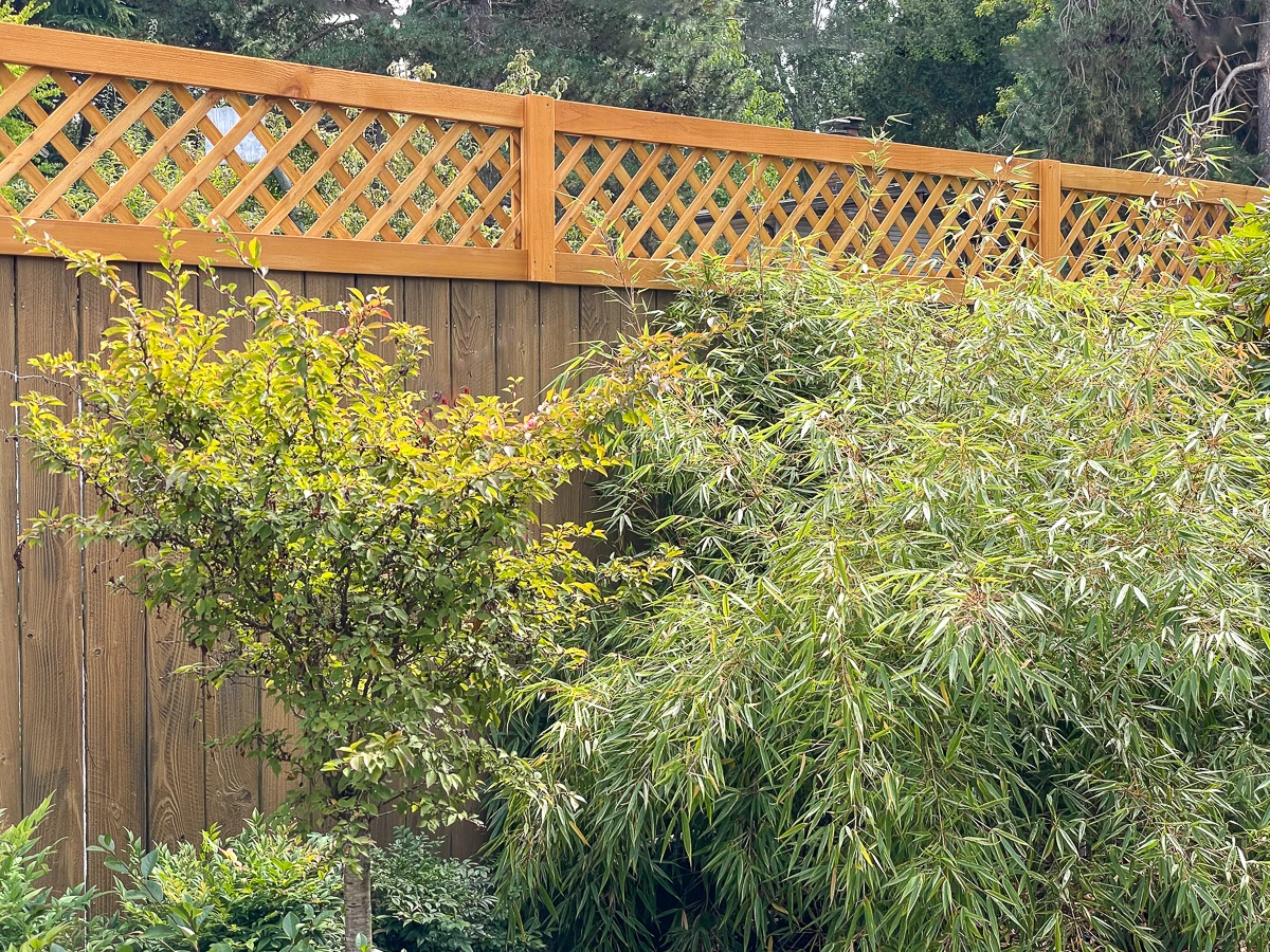 trellis on top of existing fence