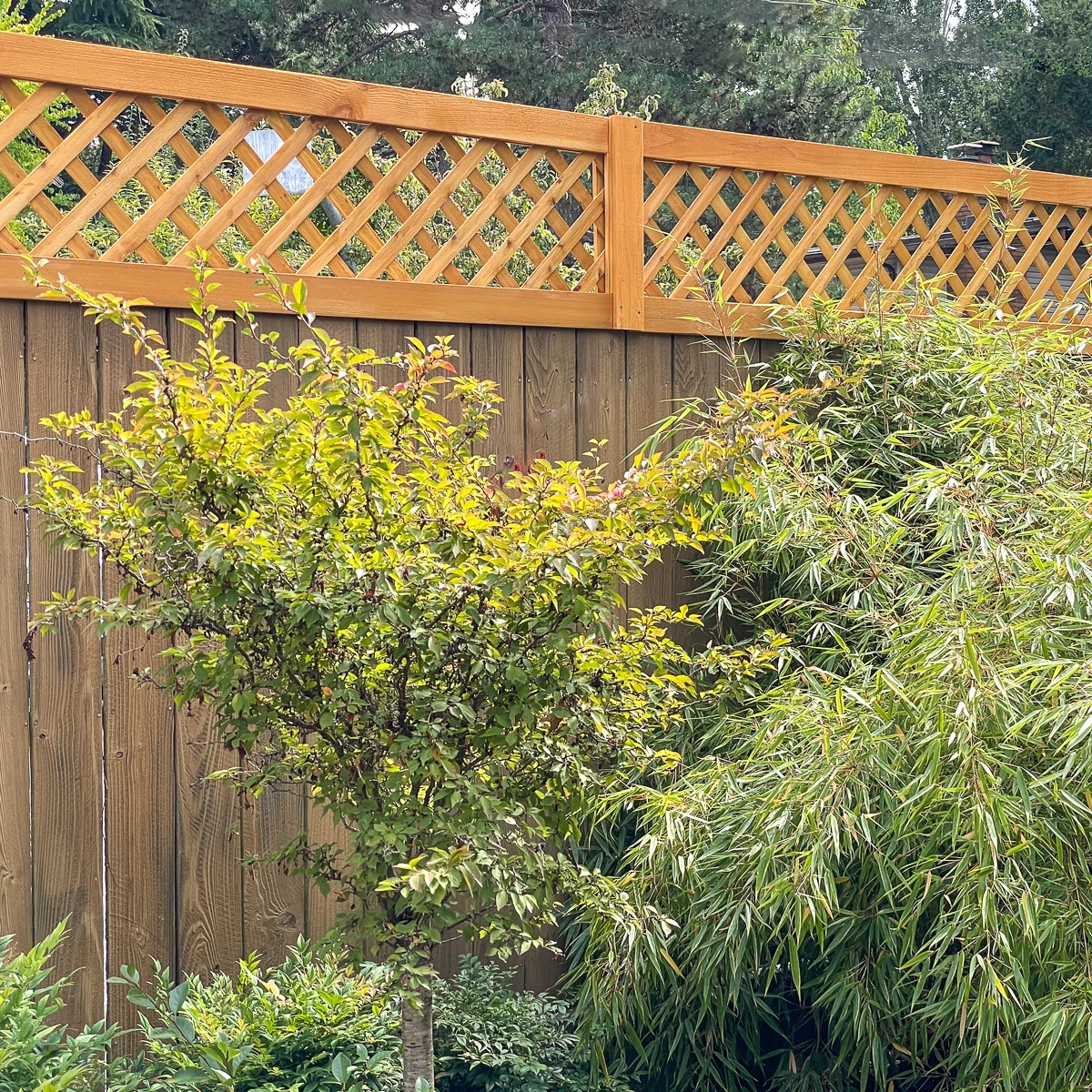 DIY fence top trellis