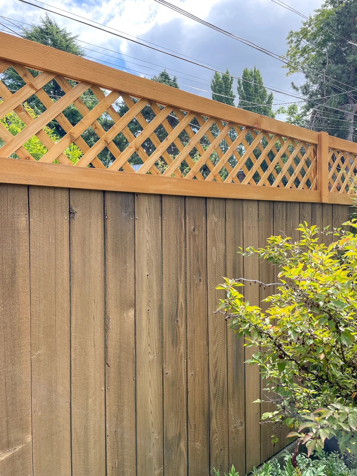 trellis on top of existing fence