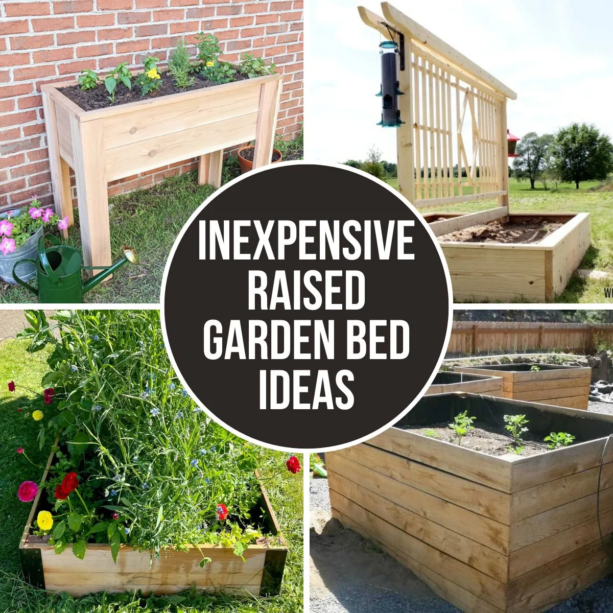image collage of four inexpensive DIY raised garden bed ideas