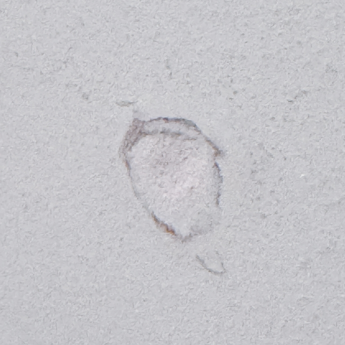 spackle shrunk into the hole