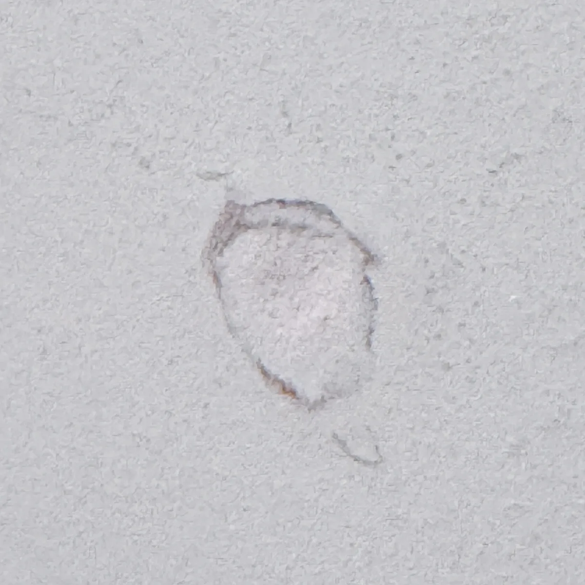 spackle shrunk into the hole