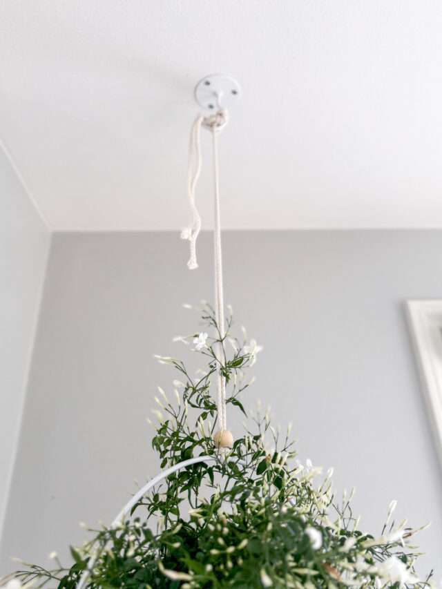 HOW TO INSTALL CEILING HOOKS FOR HANGING PLANTS