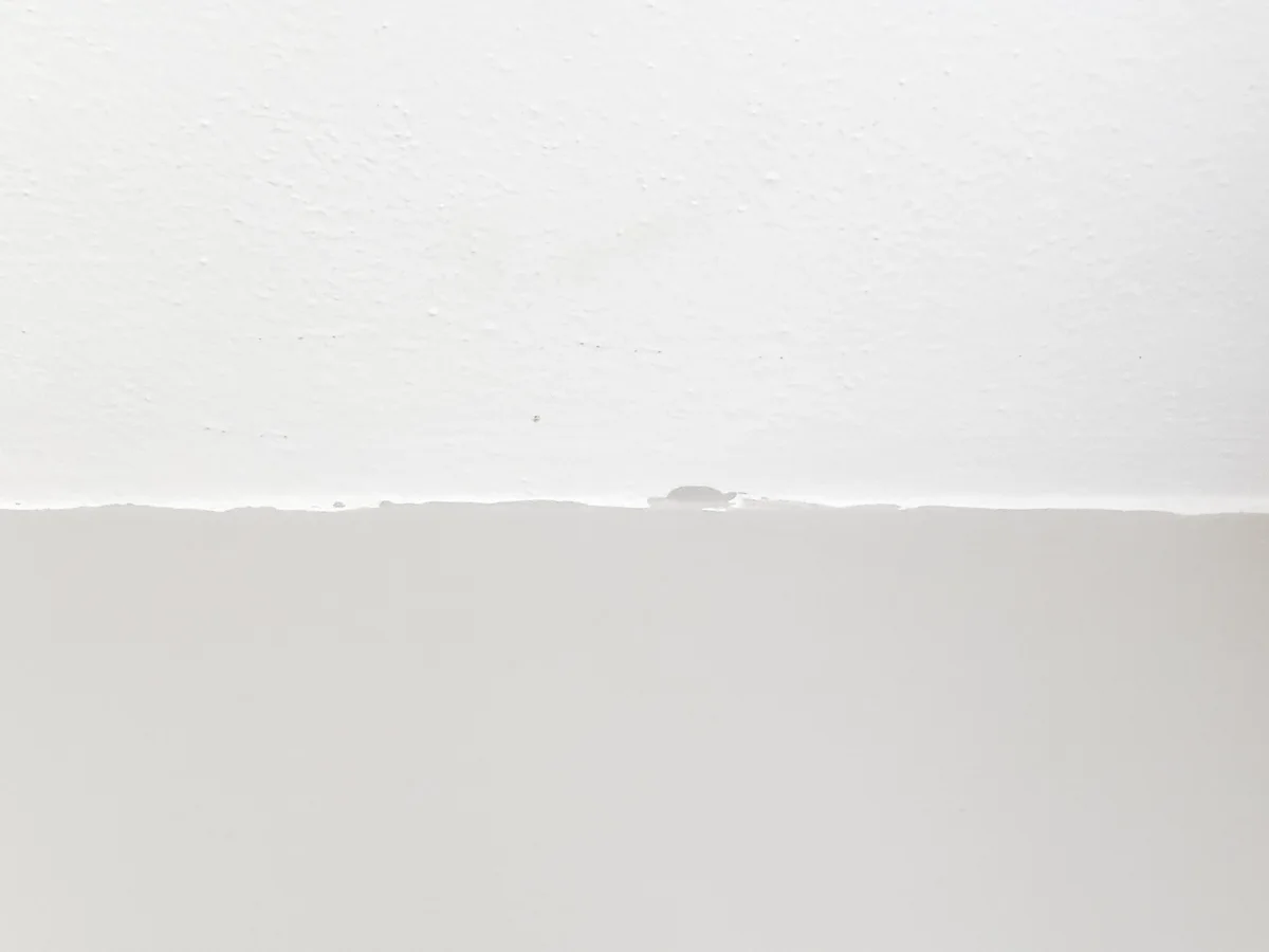 bad paint job between wall and ceiling