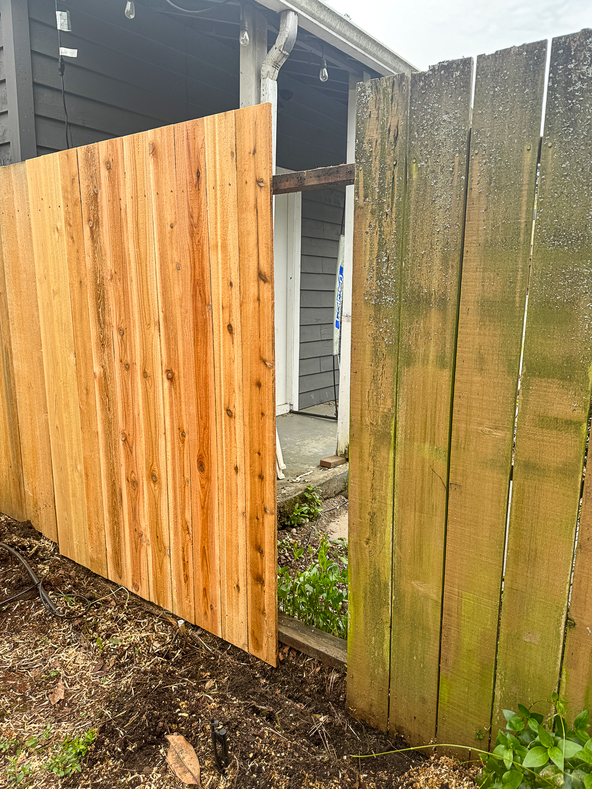 small section of old fence panels removed